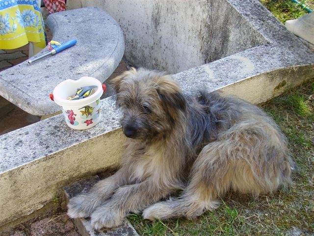 Benjy de la Rosselle